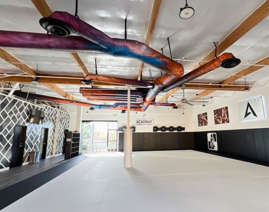 Interior view of a martial arts gym with exposed wooden beams and colorful ductwork on the ceiling. The space includes a large padded training area with a black wall featuring a row of martial arts belts and a mirror, gym equipment to the left, and framed pictures along the far wall. Natural light comes in through a door with a side window.
