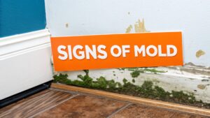 Signs of mold on wall with orange sign reading "SIGNS OF MOLD," indicating mold remediation topic for Orange County homes.