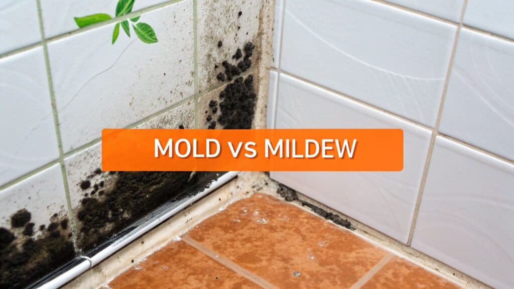 Mold and mildew comparison image showing black mold growth on tiled wall with text overlay "MOLD vs MILDEW," relevant for homeowners in Orange County.